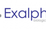 Exalpha品牌抗体产品