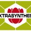 Extrasynthese-logo