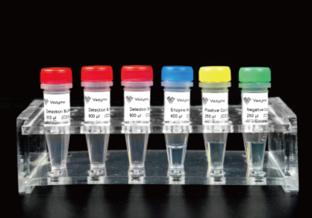 2019-Novel Coronavirus (2019-nCoV) Triplex RT-qPCR Detection Kit
