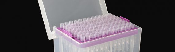 PCR Products